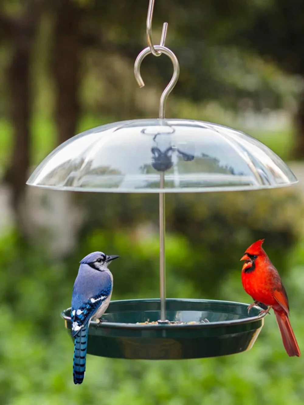 Outdoor Adjustable Platform Bird Feeder with Clear Dome(1 Pack)